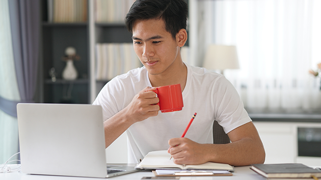 The Path to an International Qualification via Distance Learning  